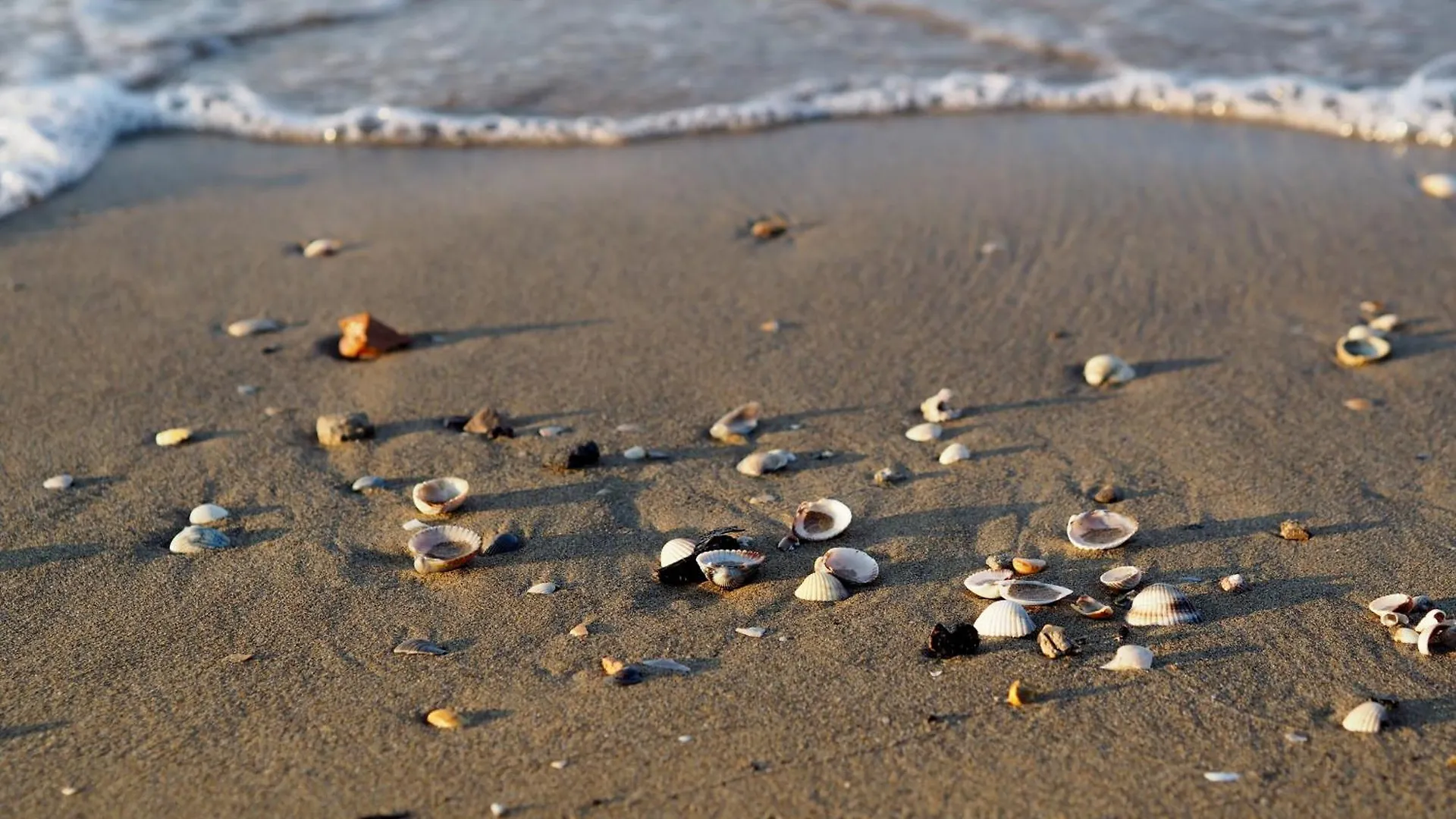 Luminous Seaside Flat For 4 Guests - Beahost Apartment Bibione