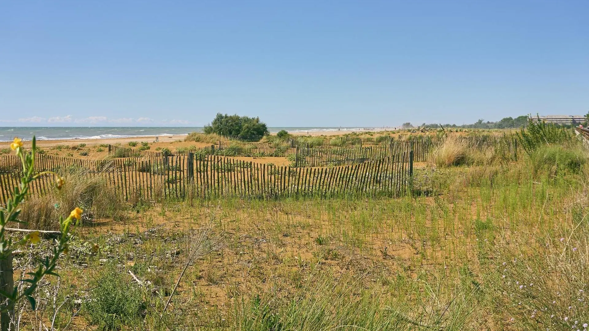 Luminous Seaside Flat For 4 Guests - Beahost Apartment Bibione